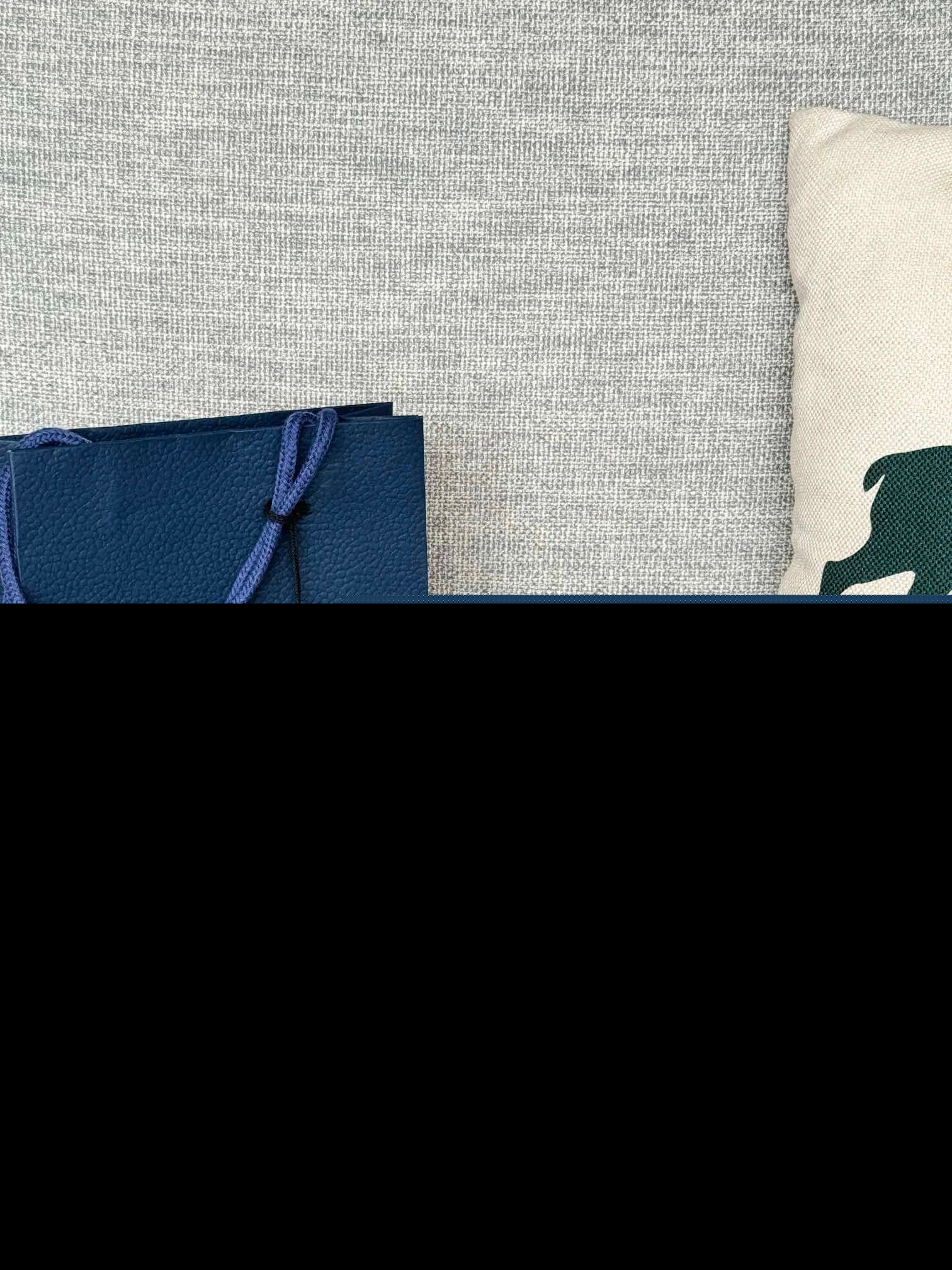 Dior Cardholder Tan Brown Mise