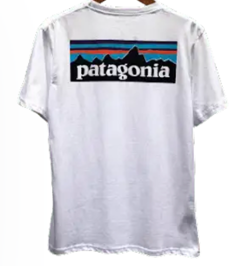 Patagonia T-Shirt White T-Shirts